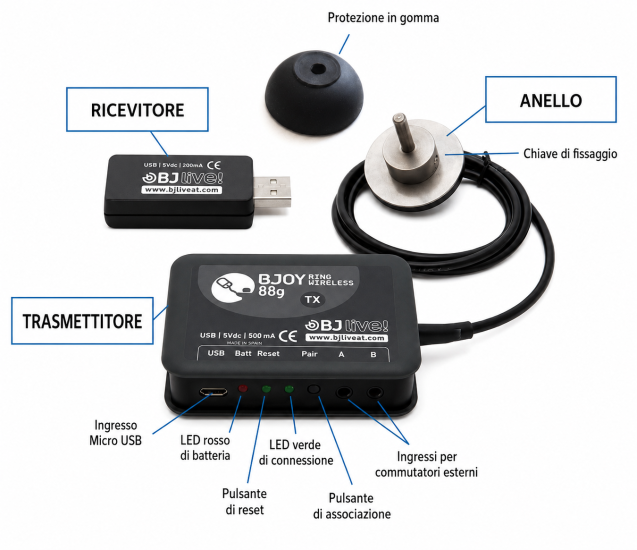 Parti del BJOY Ring Wireless.